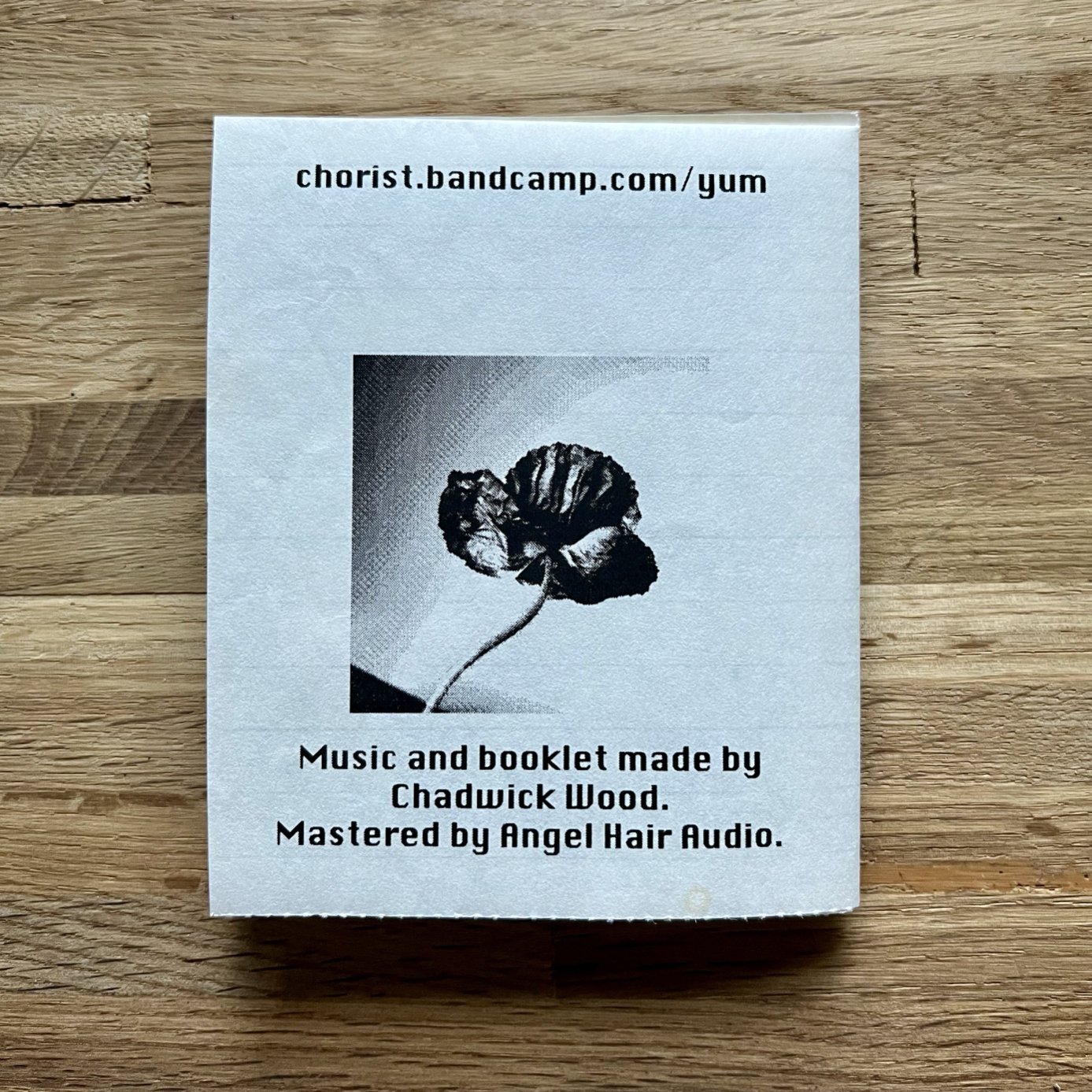 Back of Power Chords Zine